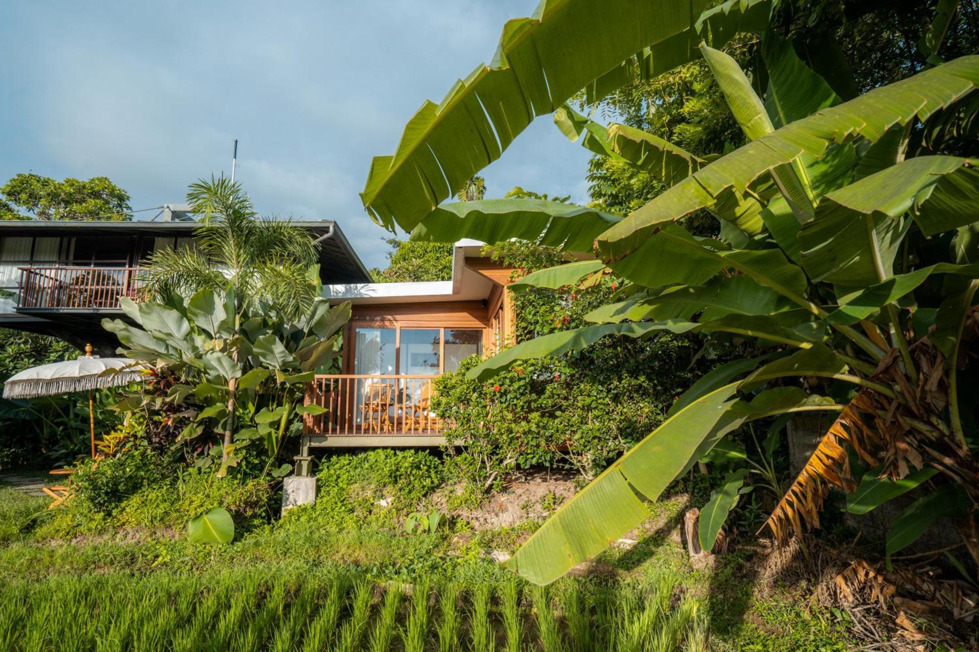 Gruen Ubud Kültér fotó
