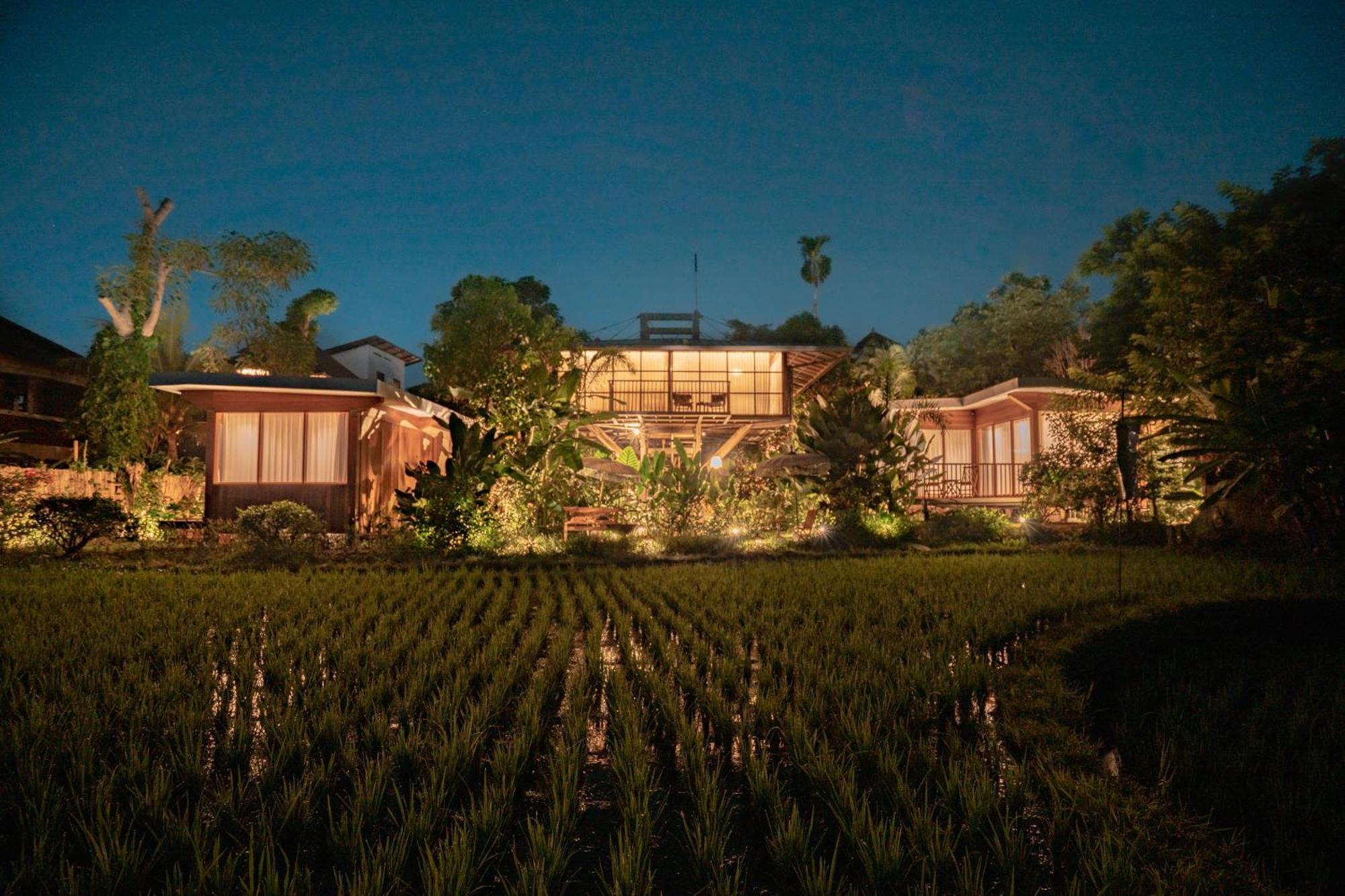 Gruen Ubud Kültér fotó