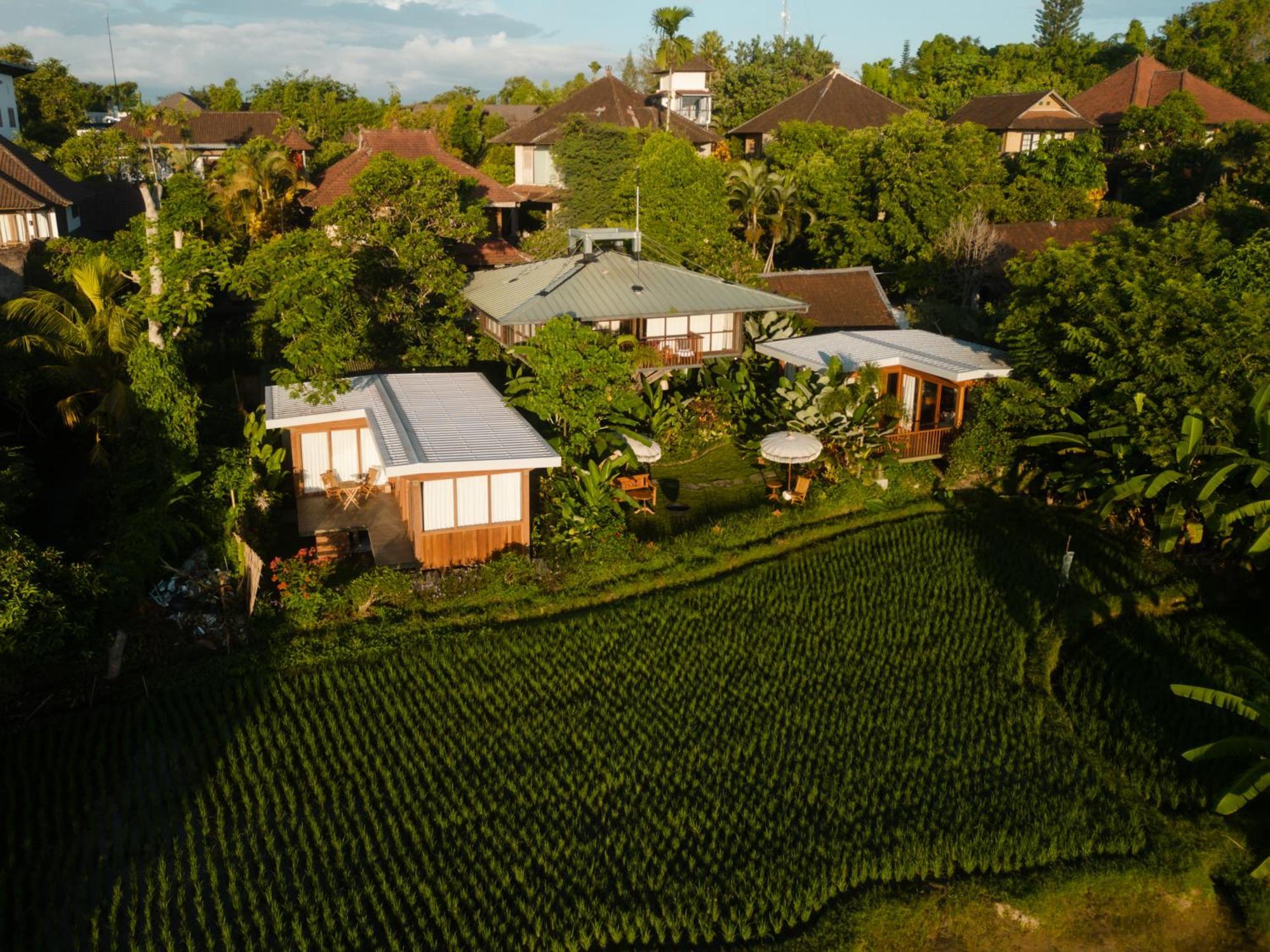 Gruen Ubud Kültér fotó
