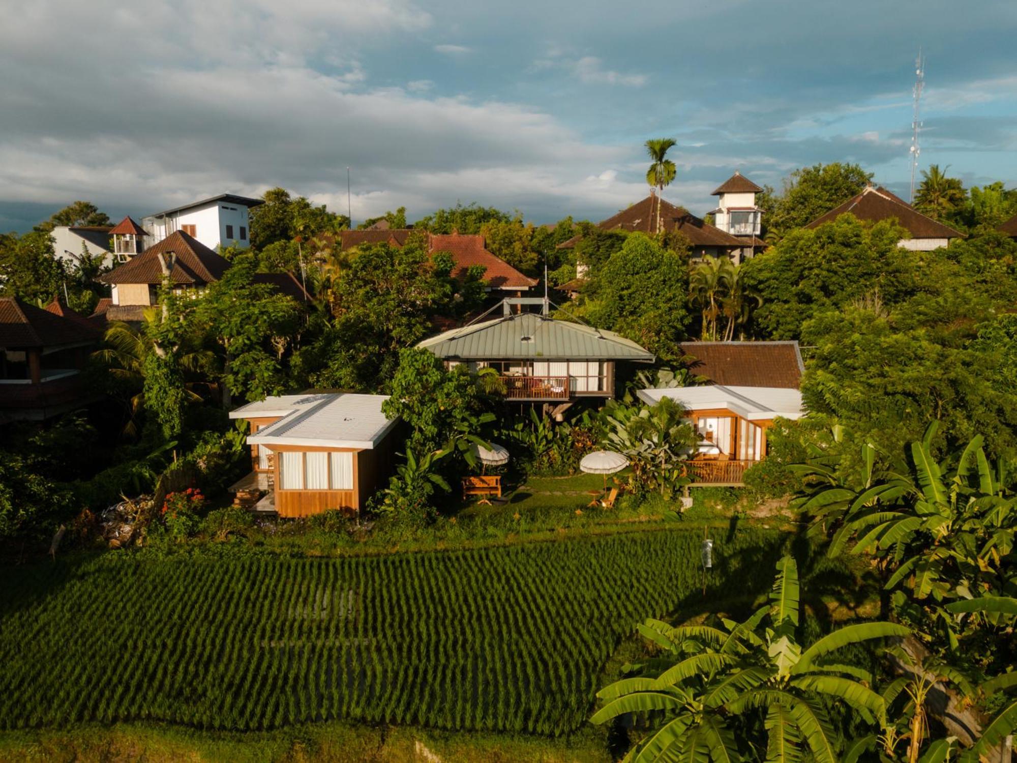 Gruen Ubud Kültér fotó