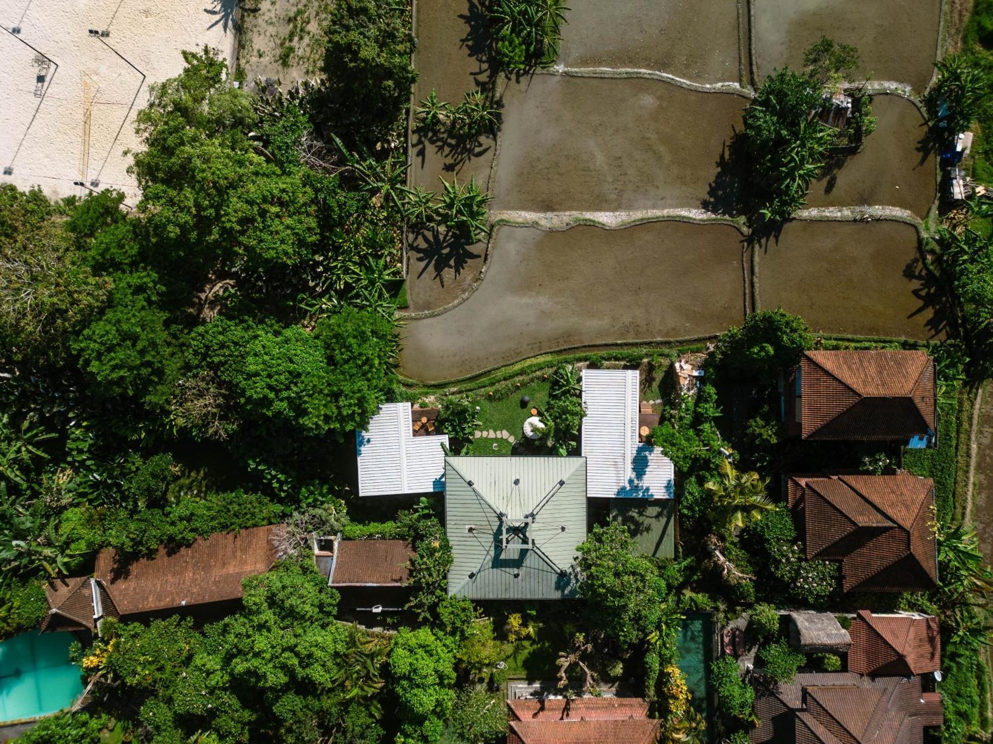 Gruen Ubud Kültér fotó